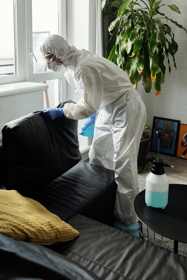 Ecolavage Lyon : votre expert en nettoyage durable à Lyon